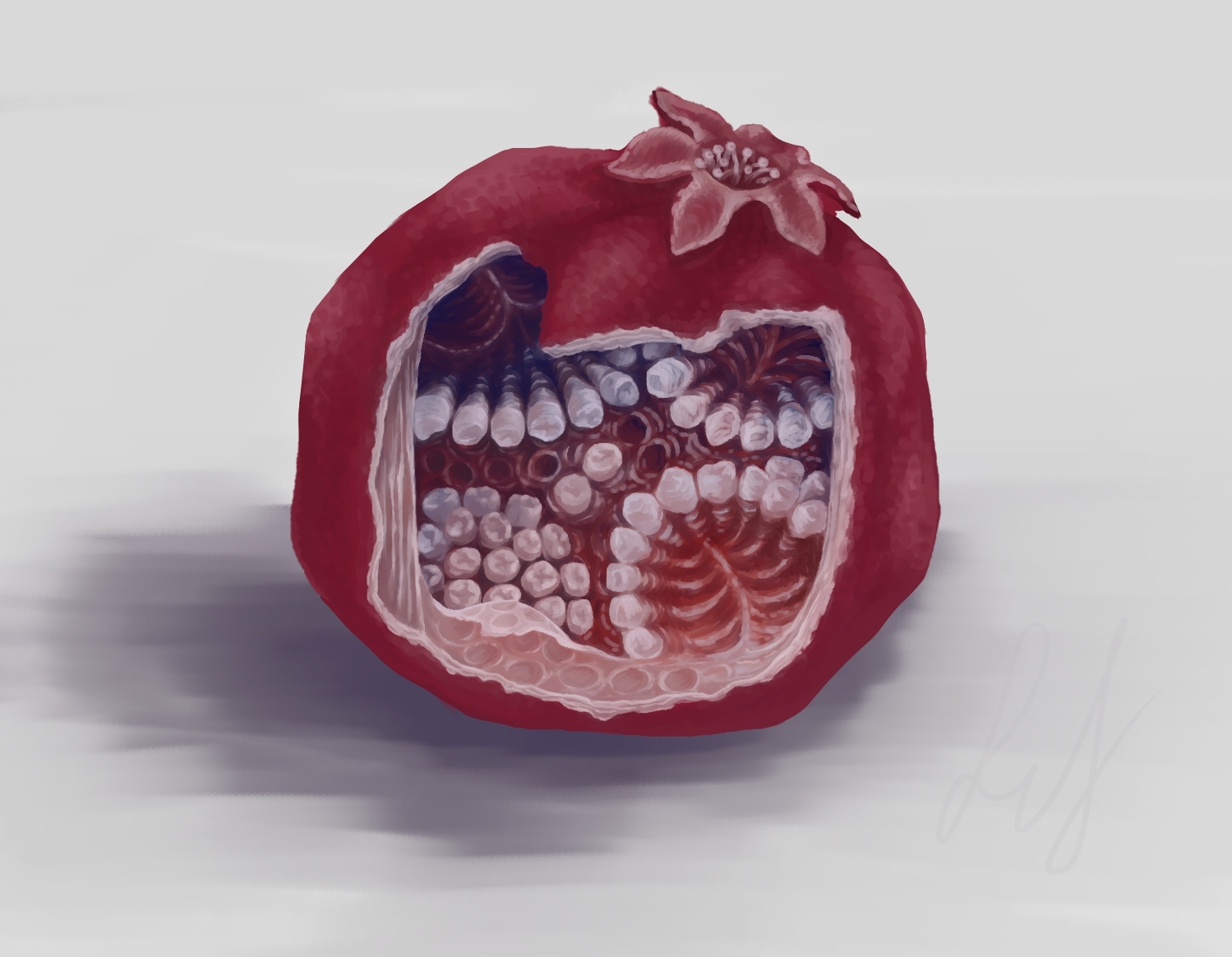 Hungry Pomegranate